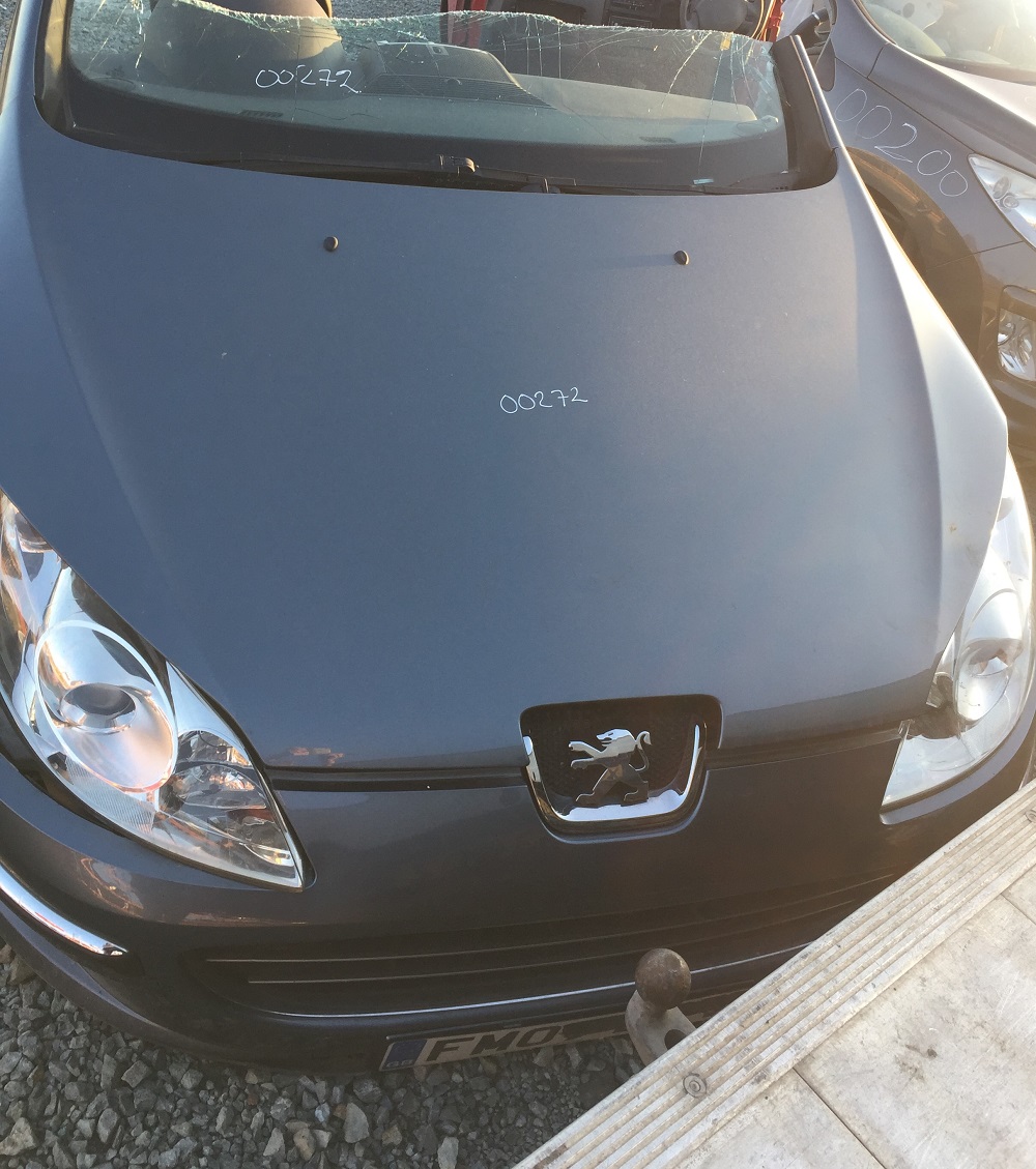 PEUGEOT 407 SW SE HDi